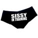Sissy In Training Panties, Sissy Panties,  Booty for Sissies, Sissy Underwear 