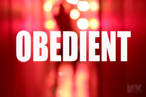 OBEDIENT Decal Laptop Sticker Car Decals  Appliance Funny Window Sticker