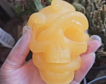Calavera de resina con serpientes, decoración gótica para el hogar, pisapapeles, 4 pulgadas