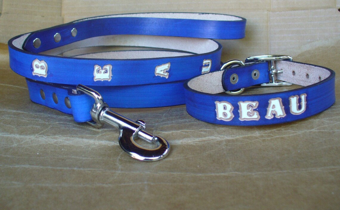 Unique Dog Collars and Leashes Free Shipping in USA Etsy