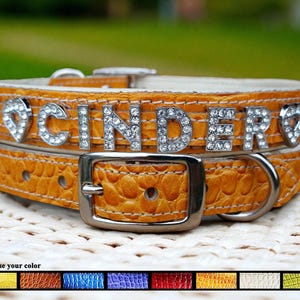 Personalized Rhinestone Dog Collars - Padded Leather Bling Collars for Medium Dogs - Bling Dog Collar - Crock Leather Pet Collar Made in USA