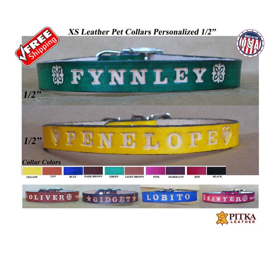 cute puppy collars and leashes