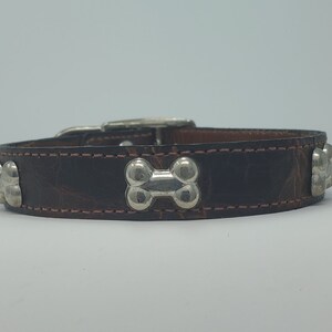 May include: A dark brown leather dog collar with silver-colored bone-shaped studs. The collar has a silver buckle and is stitched with a light brown thread. The collar is designed for a pet.