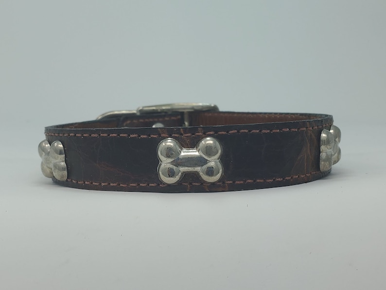 May include: A dark brown leather dog collar with silver-colored bone-shaped studs. The collar has a silver buckle and is stitched with a light brown thread. The collar is designed for a pet.
