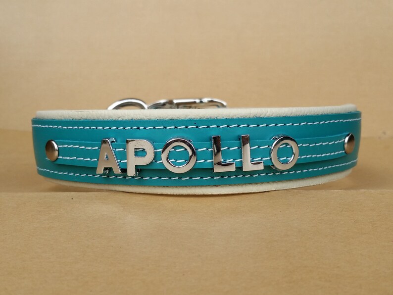 Large Dog Collars Personalized With Chrome Name Luxury Etsy