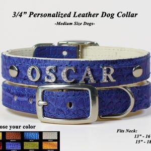 Personalized Rhinestone Leather Dog Collar: Custom Padded Crock, USA Made