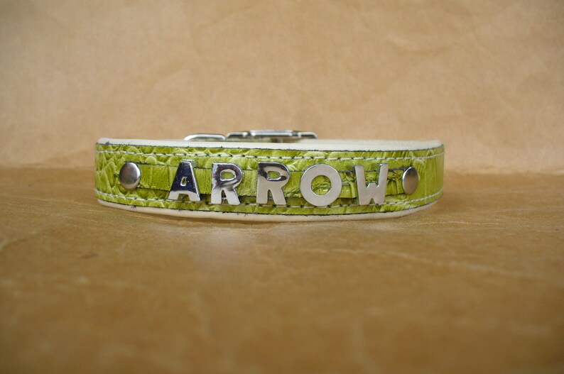 Bling Custom Dog Collars Medium Padded Crock Leather Collar Etsy