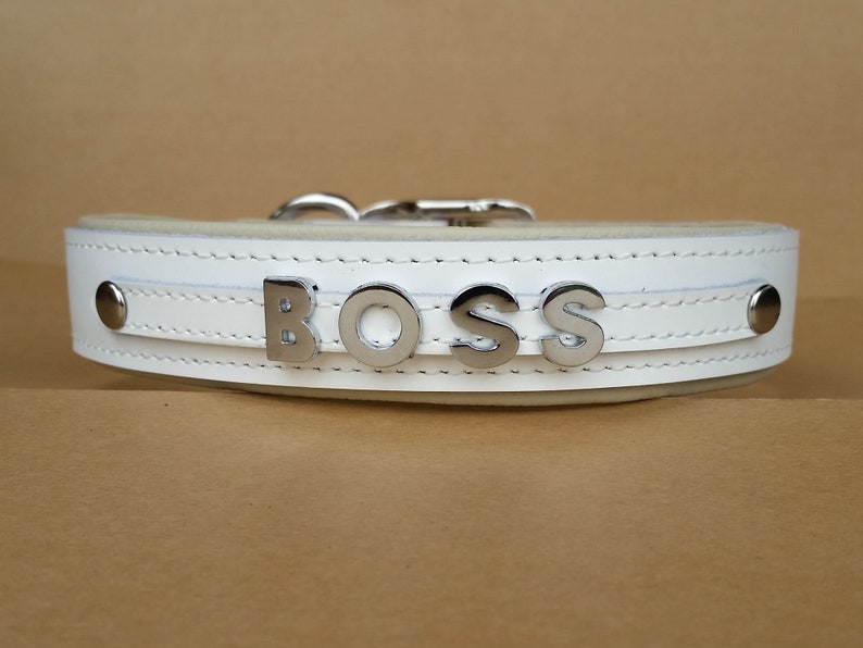 Large Dog Collars Personalized With Chrome Name Luxury Etsy