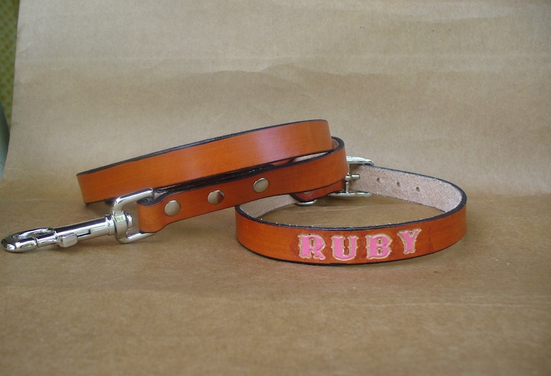 Unique Dog Collars and Leashes Free Shipping in USA Etsy