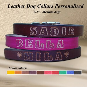 Personalized Leather Dog Collar: Custom Stamped, USA Made