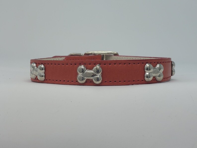May include: A coral-colored dog collar with silver-colored bone-shaped embellishments. The collar has a silver buckle and is made of leather. The dog collar is designed for small to medium-sized dogs.