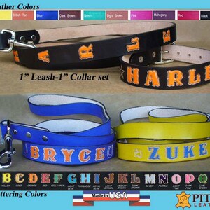 Large Dog Collar and Leash - Leather Collar 1 inch wide with matching Leather Dog Leash - Personalized Dog Collar and Leash for large dogs