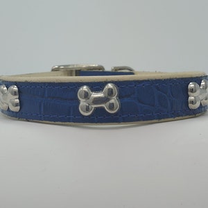 May include: A blue dog collar with silver bone-shaped accents. The collar has a textured, crocodile-like pattern and a silver buckle. The inner lining is a cream color. This pet accessory is designed for dogs.