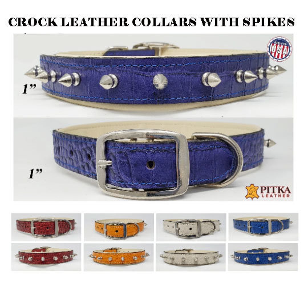 What Is The Point Of Spiked Dog Collars