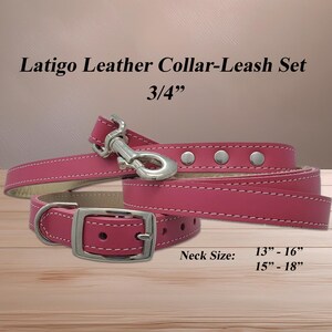 Latigo Leather Dog Collar and Leash Set - Made in USA