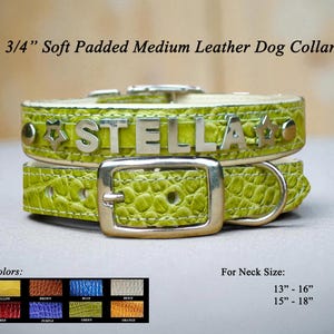 Bling Custom Dog Collars Medium - Custom Padded Crock Leather Collar - Chrome Name Collars made in USA - Name Dog Collars for Medium Dog