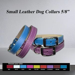 Latigo Leather Small Dog Collar: Bright Colors, Handcrafted in USA