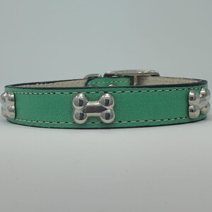 May include: A teal dog collar with silver-colored bone-shaped studs. The collar is made of leather and has white stitching along the edges. The buckle is silver-colored.