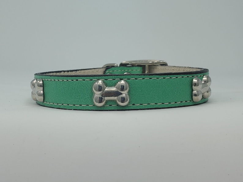 May include: A teal dog collar with silver-colored bone-shaped studs. The collar is made of leather and has white stitching along the edges. The buckle is silver-colored.