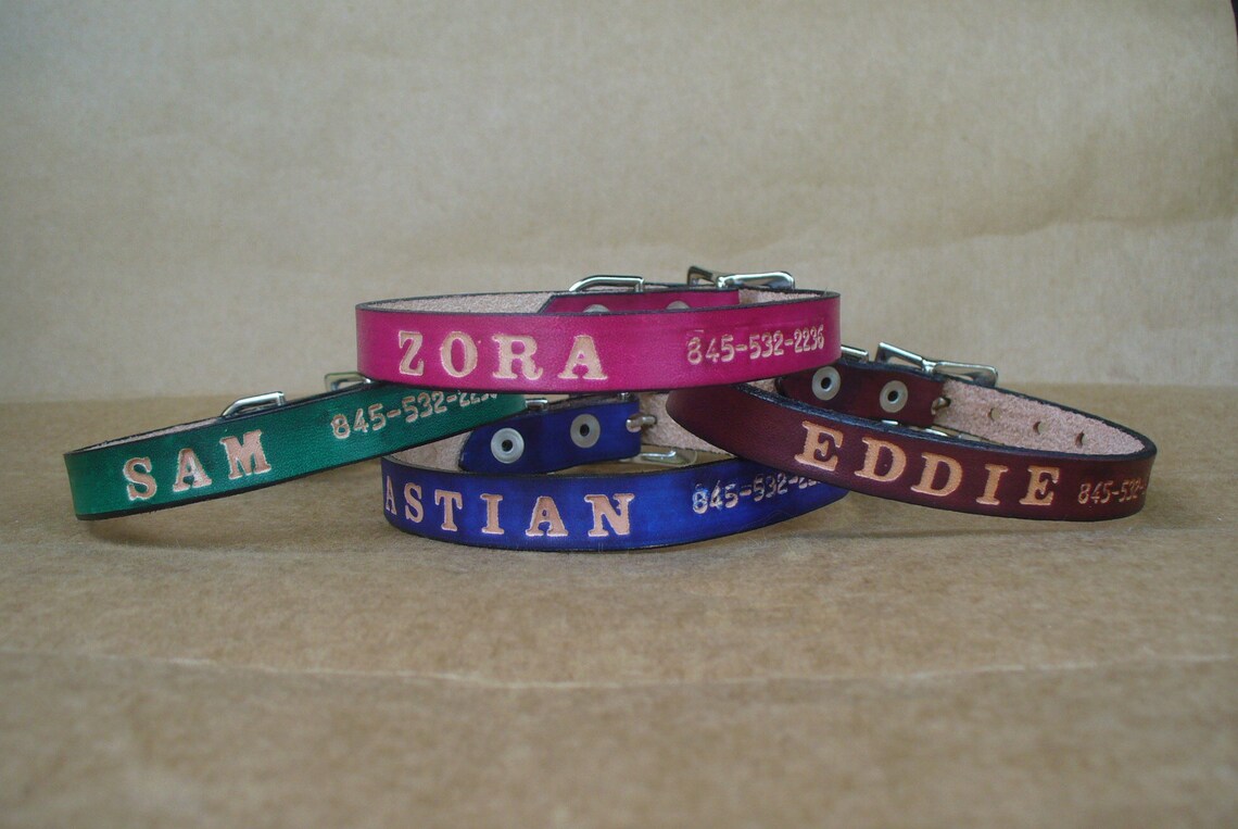 Customized Cat Collars Kitten Collars Personalized with Name Etsy