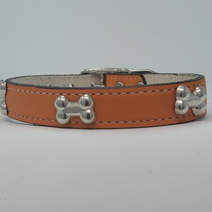 May include: A tan leather dog collar with silver-colored bone-shaped studs. The collar has a silver buckle and white stitching. The collar is designed for a pet.