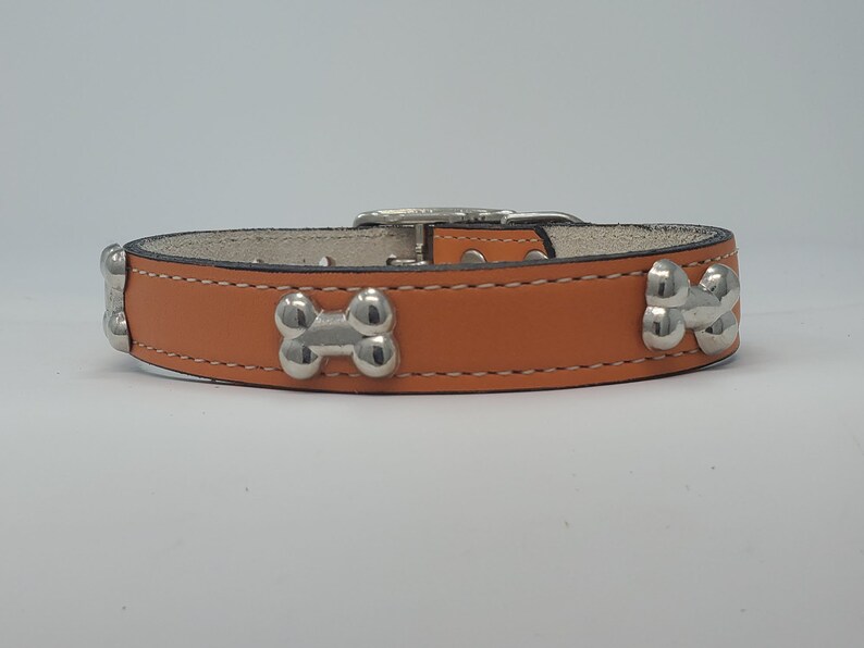 May include: A tan leather dog collar with silver-colored bone-shaped studs. The collar has a silver buckle and white stitching. The collar is designed for a pet.