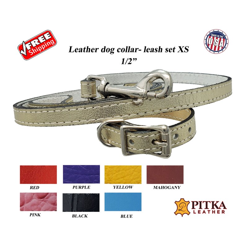 cute puppy collars and leashes