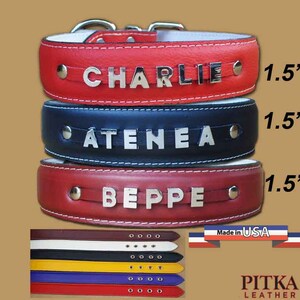 Leather Dog Collar with Chrome Name XL - Custom Personalized Bling Dog Collars - Big Dog ID Collar - Padded Collar for Big Dog made in USA