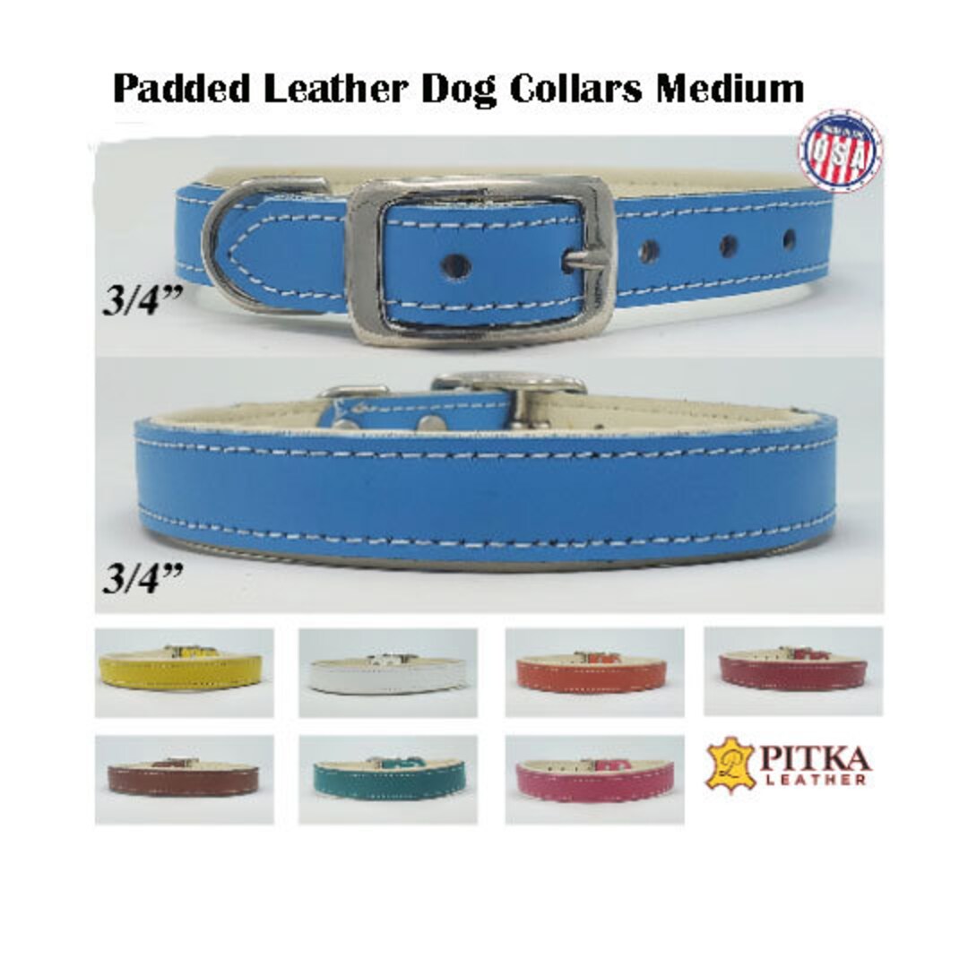Padded Leather Dog Collars Quality Collars for Medium Dog Handcrafted