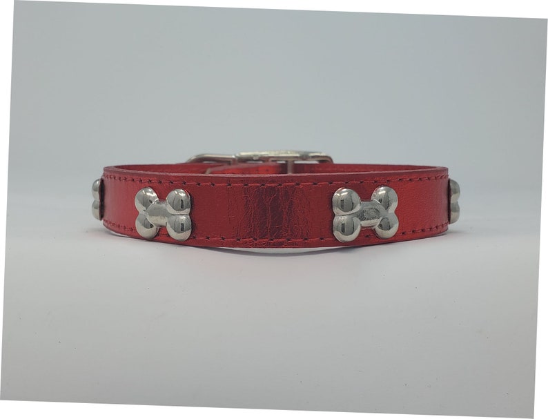 May include: A red leather dog collar with silver-colored bone-shaped accents. The collar has a silver-colored buckle and is designed for a pet. The collar is a vibrant red color.