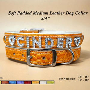 Personalized Rhinestone Dog Collars - Padded Leather Bling Collars for Medium Dogs - Bling Dog Collar - Crock Leather Pet Collar Made in USA