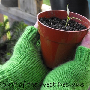 May include: A pair of green knitted fingerless gloves are holding a small terracotta pot with a green plant growing in it. The pot is about 6 inches tall.