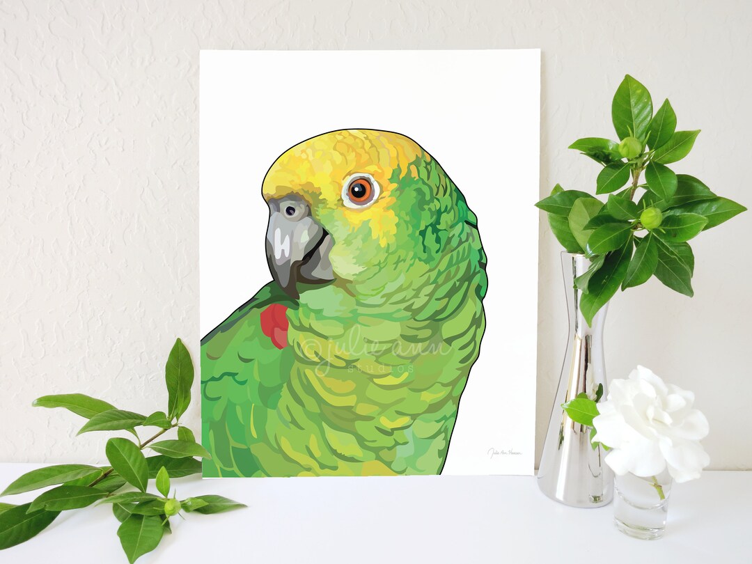 Amazon Parrot Art Print Amazon Parrot Painting Amazon Parrot Etsy