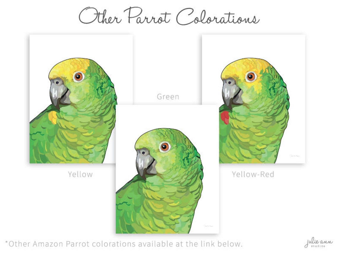 Amazon Parrot Art Print Amazon Parrot Painting Green Parrot Etsy
