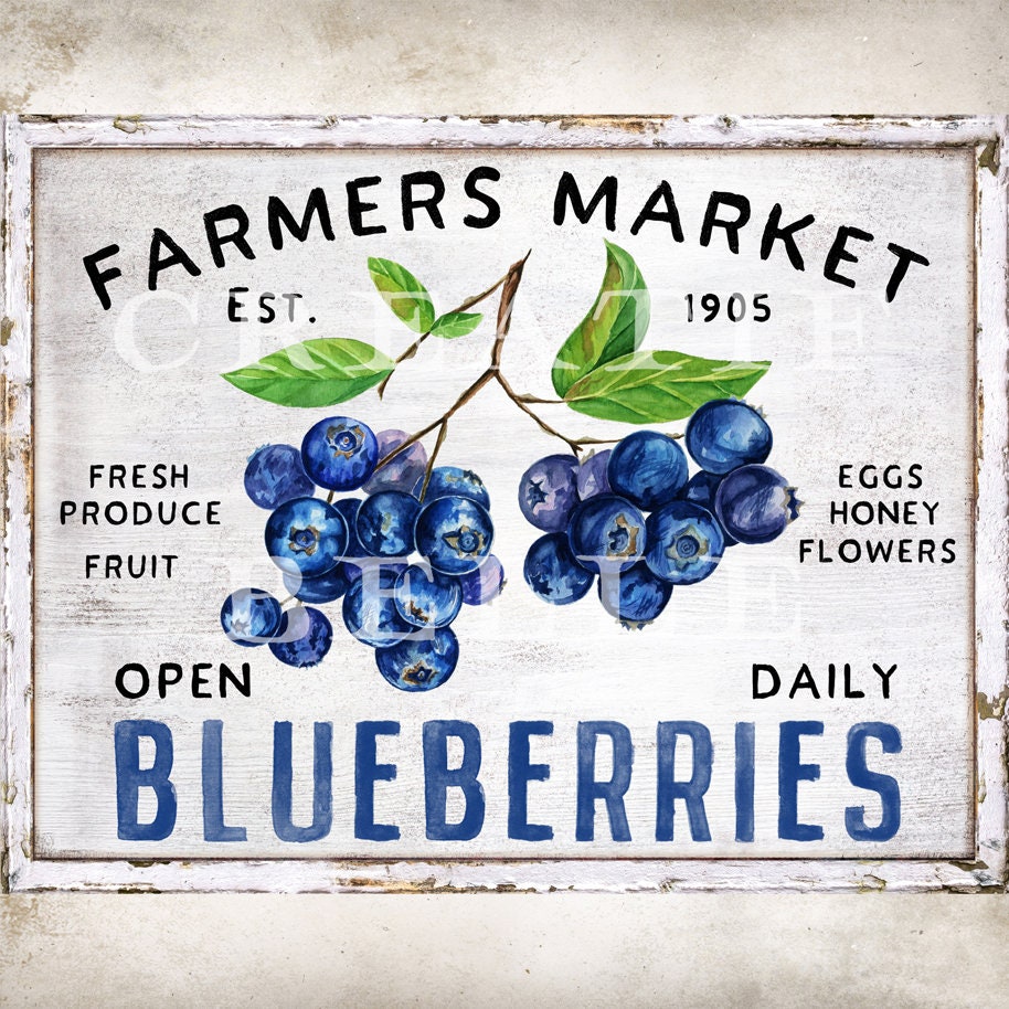 Modern Farmhouse Blueberries Farmers Market Farm Style Fruit Sign Making Transfer Summer Fruit Tier Tray Decor Transfer Digital Print 2246