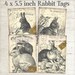 4 x 5.5 inch French Vintage Rabbit Tags, Instant Digital Download, Printable Easter Tags, Labels, Cards,  Graphic Image 1290 