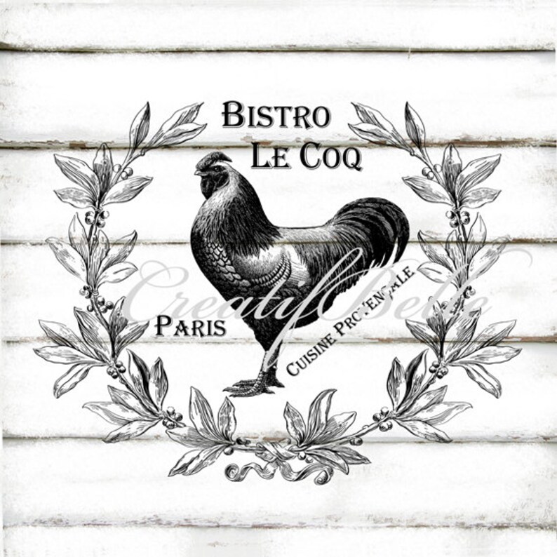 grand coq blancHD noir porn.com