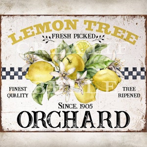 Lemon Tree Orchard Farm Sign Country Farm Style Lemons Farmhouse Lemon Decor Wall Art Citrus Fruit Sign Digital Print 2488