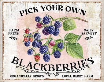 Vintage Rustic Blackberries DIY Wall Sign Farm Style Fruit Farmhouse Kitchen Sign Summer Wreath Accent Vintage Tier Tray DIGITAL Print 2950