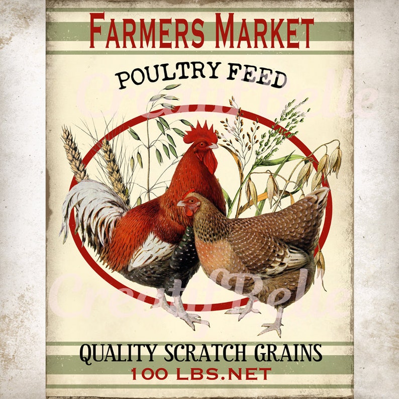Farmers Market Poultry Feed Rooster and Hen Transfer Etsy