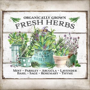 Organic Fresh Herb Pots Modern Farmhouse Herb Garden DIY Sign Basil Lavender Mint Sage Origanum Rosemary Parsley Digital Print 2821