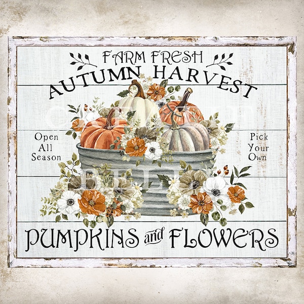 Farm Fresh Autumn Harvest Pumpkins and Flowers Modern Farmhouse Fall Home Decor DIY Sign Wreath Accent Sign Crafts Digital Print 2824