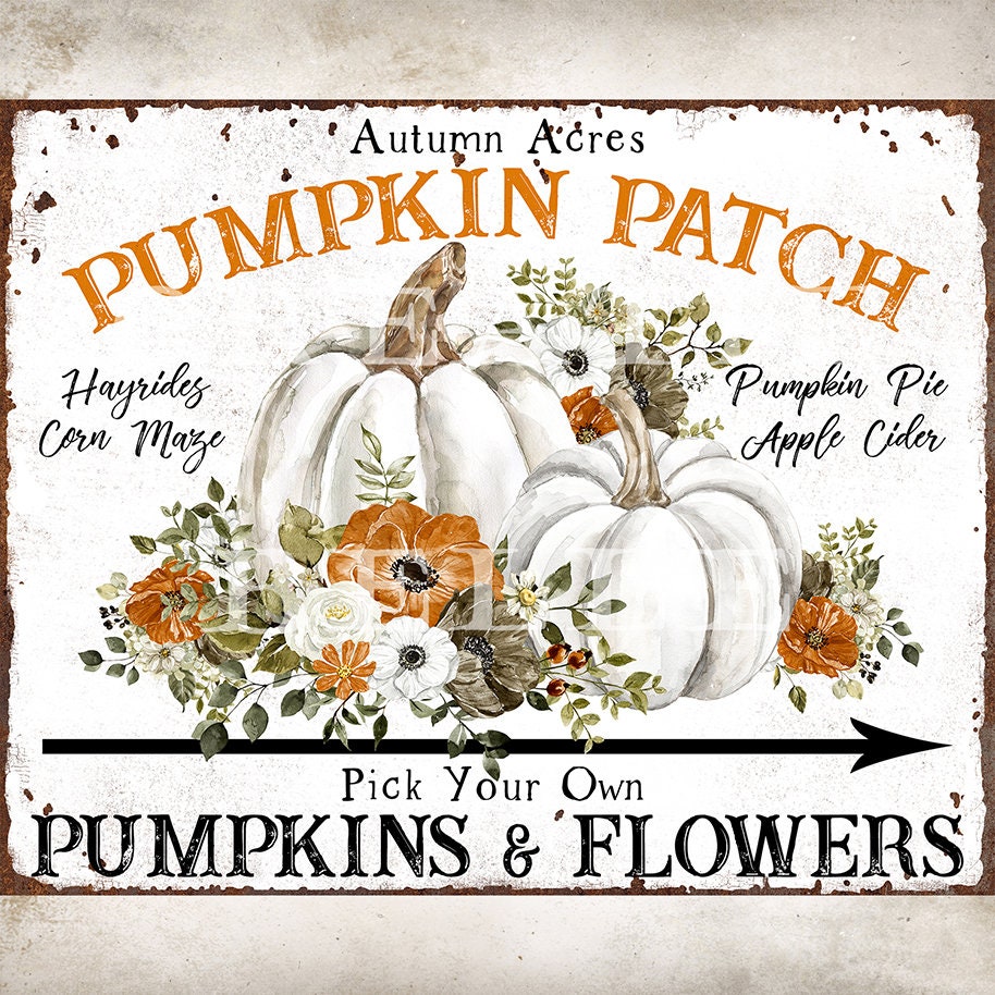 Pumpkin Patch Rustic Fall Farmhouse Home Decor DIY Sign Making Autumn Pumpkins & Flowers Tier Tray Decor Digital Print 2586