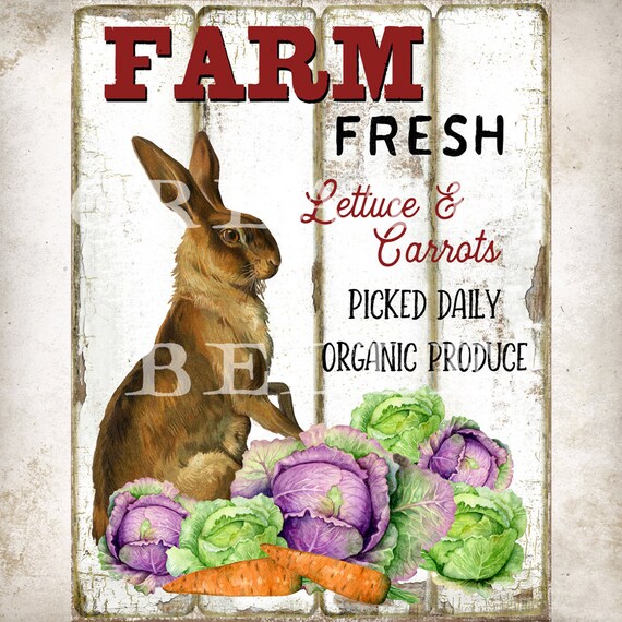 Easter Greeting Card New EASTER Bunny Rabbit Lettuce Carrots Stems Vegetables 