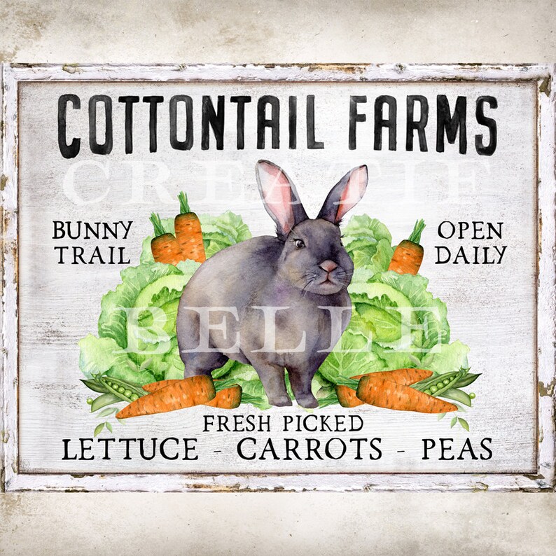 Cottontail Farms Bunny Rabbit Easter Printed Handmade Sign Cottontail Farms Bunny Rabbit Easter Printed Handmade Sign