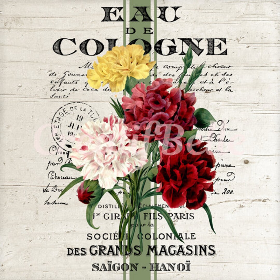 French Vintage Carnations Instant Digital Download Printable Etsy