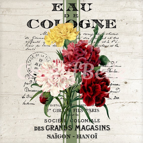 French Vintage Carnations Instant Digital Download Printable Etsy