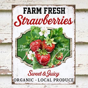 May include: A rustic, rectangular sign with the words "FARM FRESH Strawberries" in black and red. The sign features a green and white illustration of ripe strawberries with white flowers. Text includes "25¢ a pint", "You Pick", and "Sweet & Juicy".