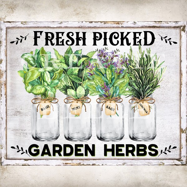 Herbs Wall Art - Etsy