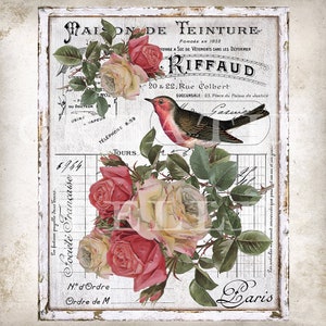 French Shabby Chic Victorian Roses Vintage Bird French Farmhouse Home Decor DIY Sign Fabric Transfer Wreath Accent Digital Print 2822